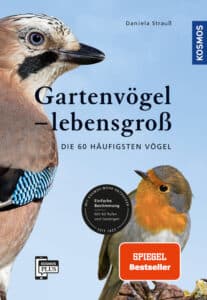 Gartenvögel - lebensgroß