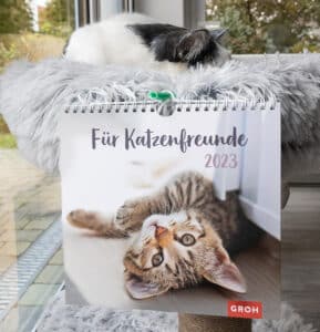 Kalender für Katzenfreunde